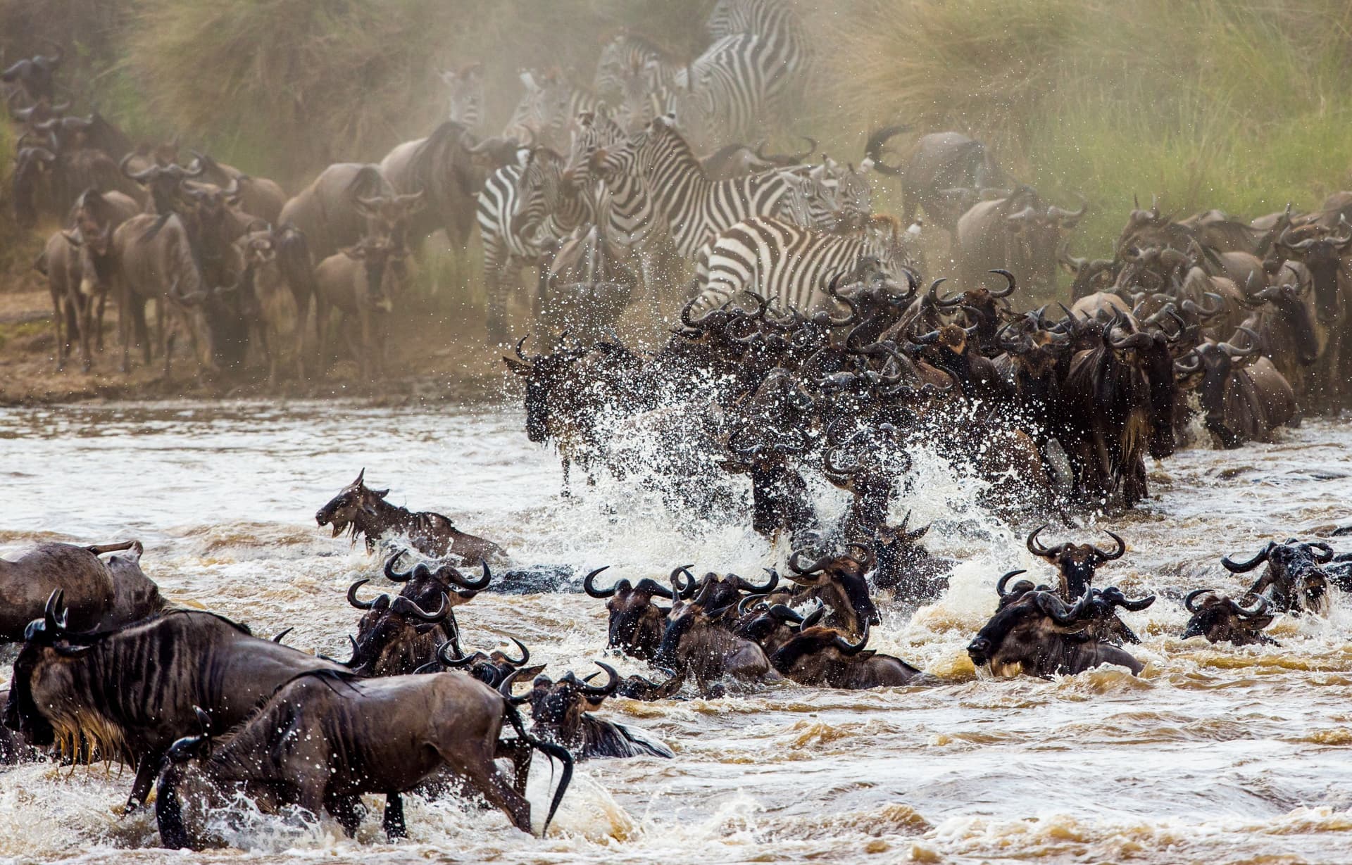 Masai Mara National Reserve