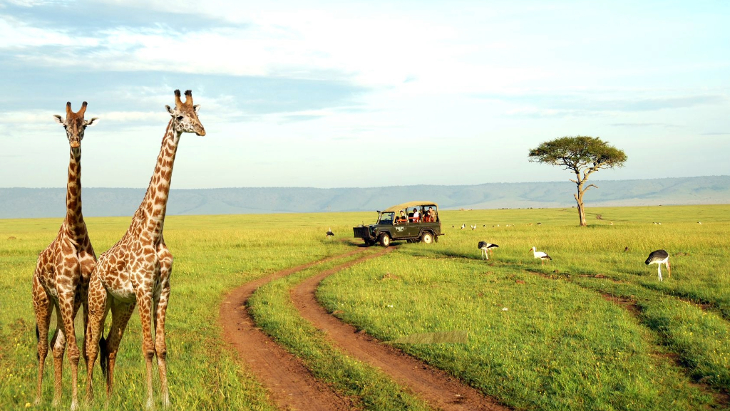 A Guide To Travelling Through The National Parks Of TanzaniaGalago ...